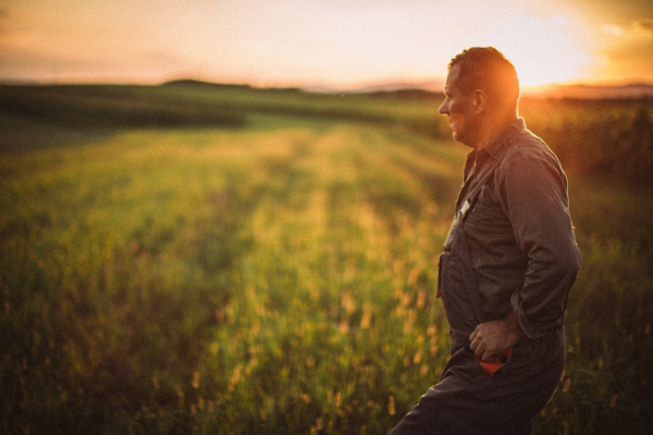 Writing Dialogue Tags and Beats CANVA Man in field