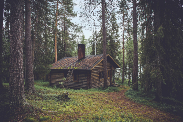 Writing Dialogue Tags and Beats CANVA cabin in woods